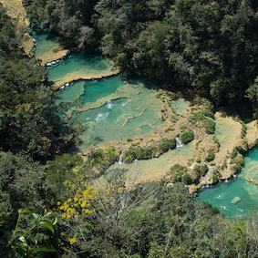 Seea Guatemala